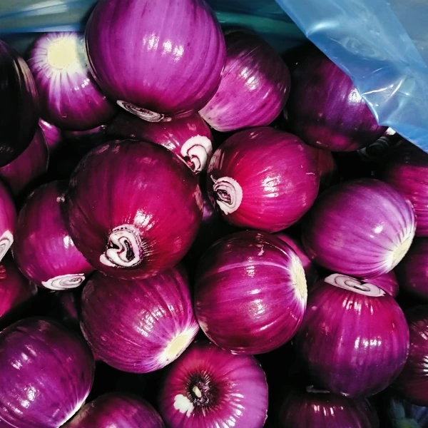 Huaang Food Processing kasvattaa markkinaosuutta vakaalla laadulla