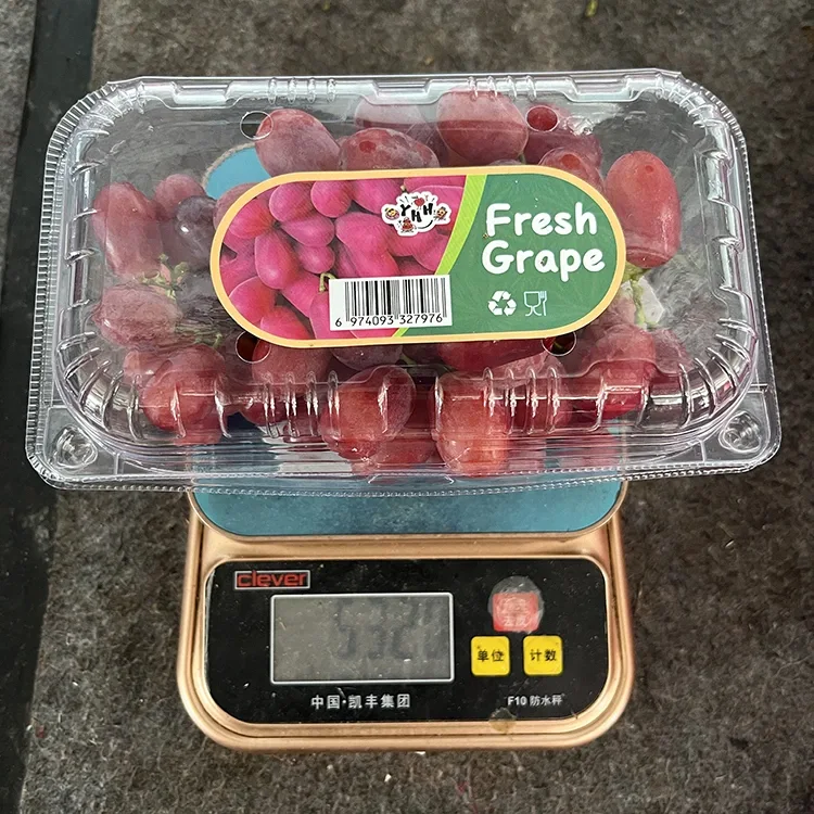 Vientilaatuiset tuoreet Crimson Seedless Grapes