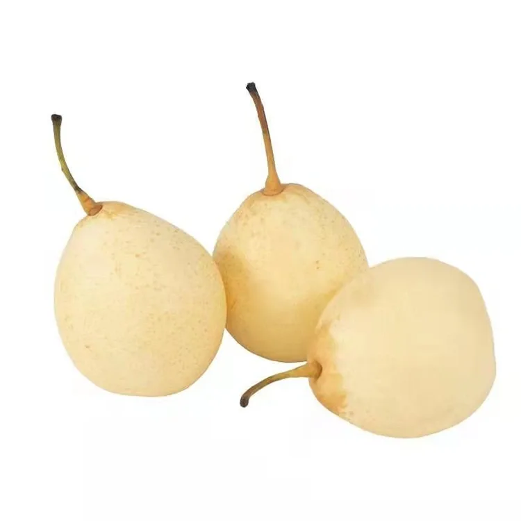 Juuri korjattu Ya Pear