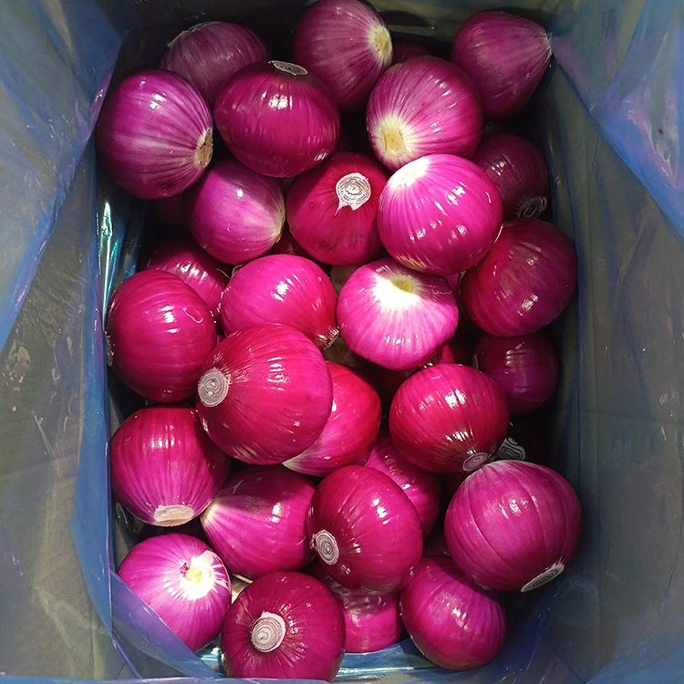 Laadukas kuorittu sipuli