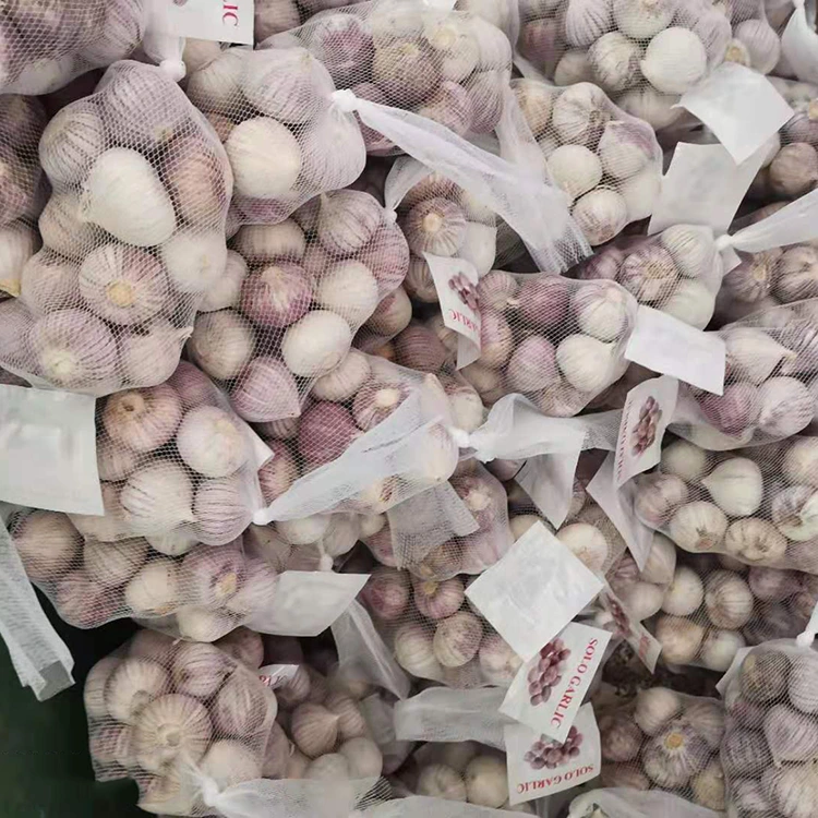 Korkealaatuinen valkosipulin kynsi