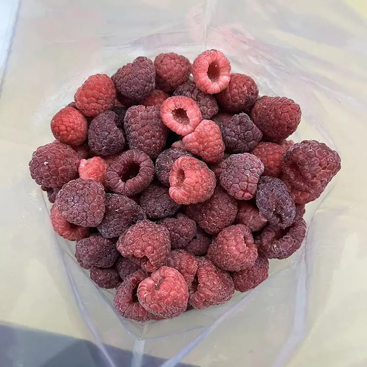 Premium IQF koko pakastettu punainen vadelma